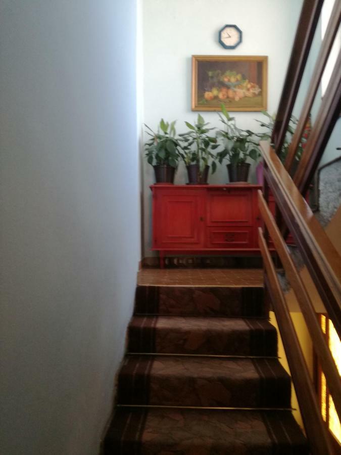 Villa Letina Sukosan Ngoại thất bức ảnh